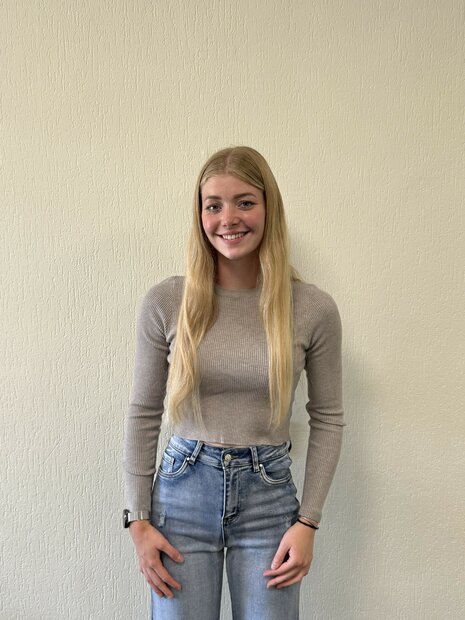 Sara long sleeve top grey